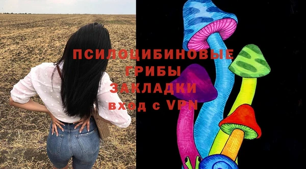 спиды Мегион