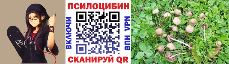 Купить где  Кириллов  Псилоцибиновые грибы прущие грибы 